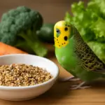 Alimentazione delle cocorite: il mix di semi e verdure che favorisce piumaggio brillante